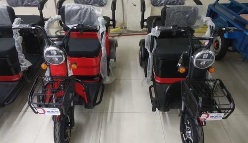 高出速派奇电动车厂家直销 优质电动自行车选购指南