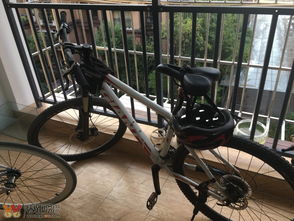 二手自行车与折叠电动车销售指南 兼顾捷安特与跳蚤市场机遇