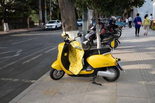 天津明年1月1日起实施新交规，电动自行车销售迎重大调整